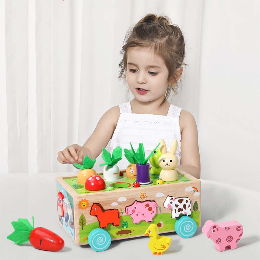 Wooden Shape Assortment Matchi - Kids Education Number review and price